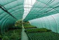 Methods for protecting plants in greenhouses from overheating