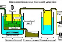 How to make a bioreactor with your own hands