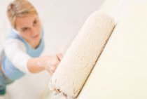 The main types of primer for wall treatment