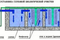 Care sunt avantajele metodei de tratare biologică a apelor uzate