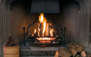 Que tipo de lenha é melhor para o fogão: poder calorífico, o mais quente