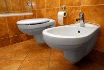 What is a bidet and how to use it