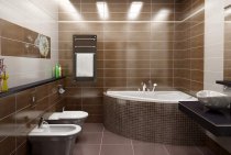 Design of a bathroom combined with a toilet (32 photos)