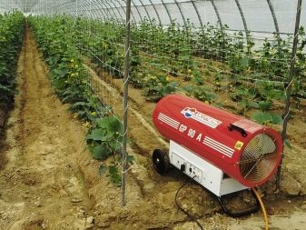 Maneiras de aquecimento de estufa para aquecer uma estufa no inverno e no início da primavera