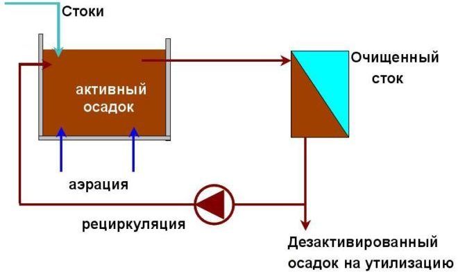 Bioreaktor