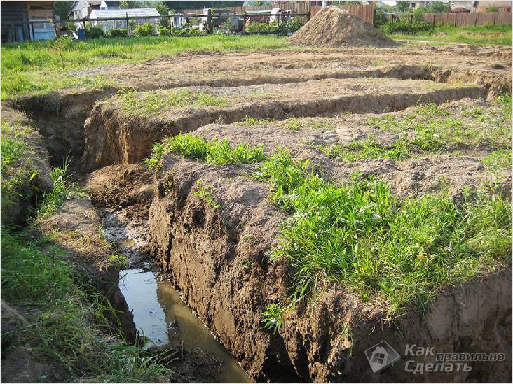 Como plantar árvores se a água subterrânea estiver próxima