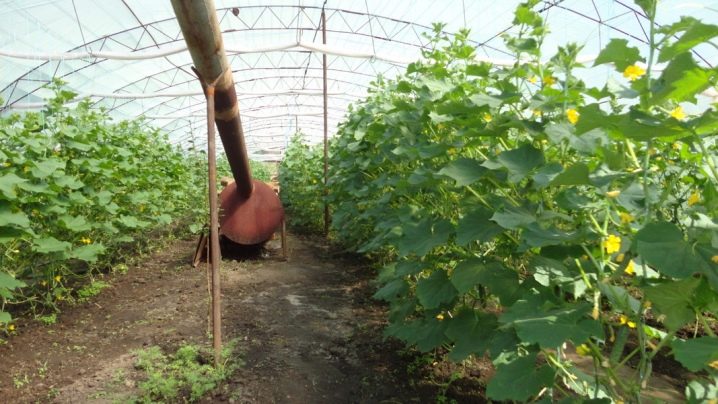 Maneiras de aquecimento de estufa para aquecer uma estufa no inverno e no início da primavera