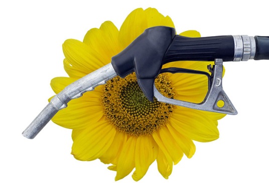 Como fazer biodiesel com suas próprias mãos em casa