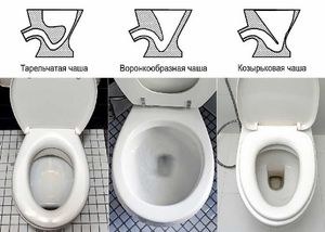 10 best toilets