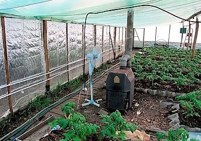 Σόμπα για θερμοκήπιο 62 φωτογραφίες, σχέδια βασικών έργων με θέρμανση σόμπας