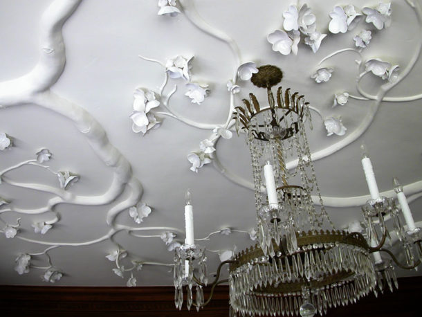 Textured ceiling with intertwining branches