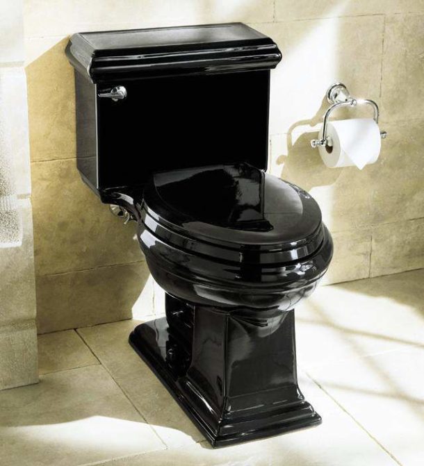 Contrasting background for a black toilet