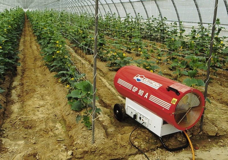 Maneiras de aquecimento de estufa para aquecer uma estufa no inverno e no início da primavera