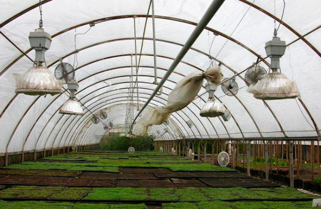 Maneiras de aquecimento de estufa para aquecer uma estufa no inverno e no início da primavera