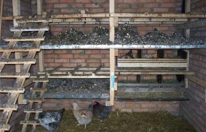 Heating a chicken coop in winter heating methods and suitable types of heating