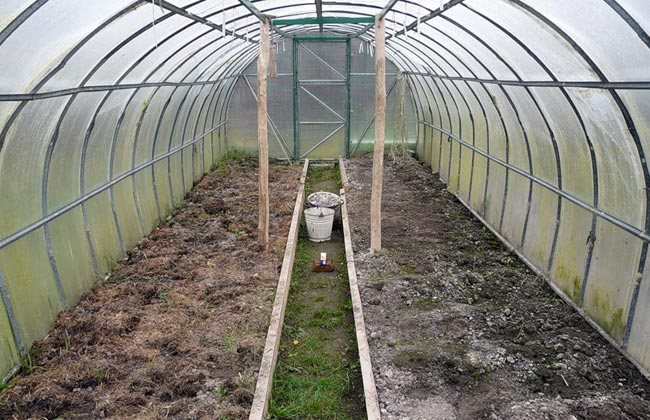 How to prepare soil for a greenhouse