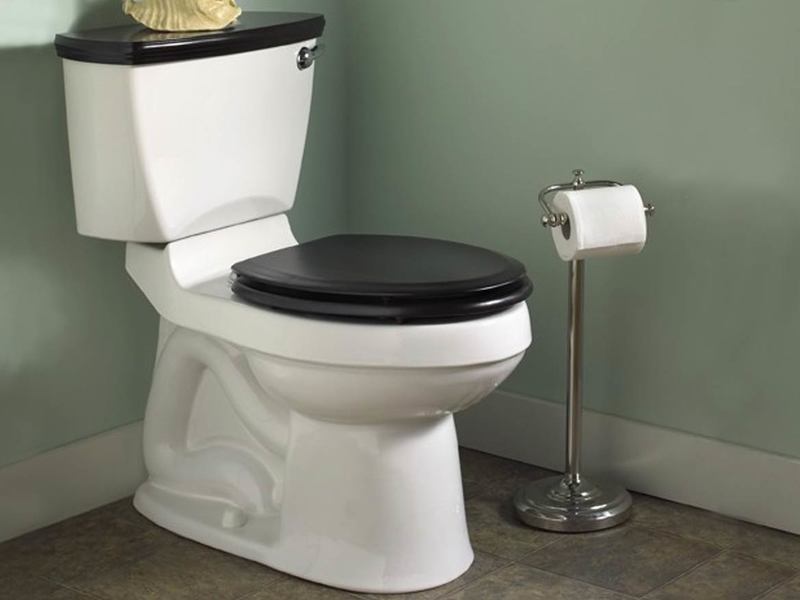 10 best toilets