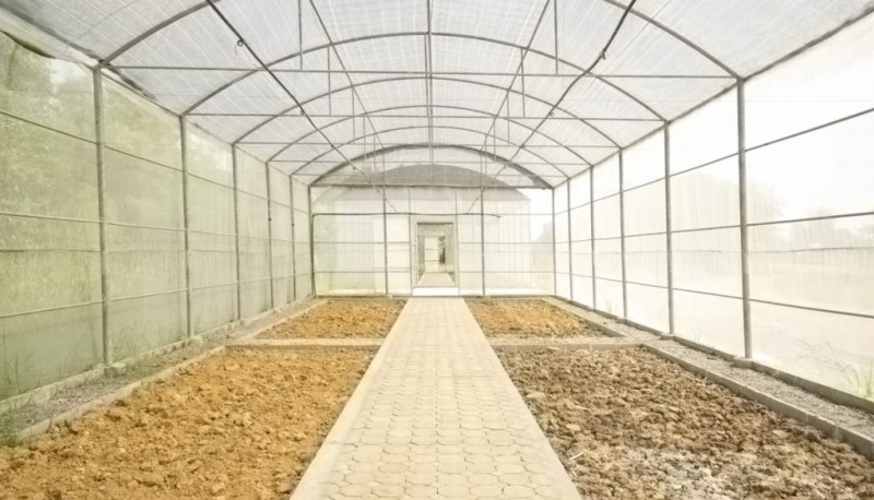 How to prepare soil for a greenhouse