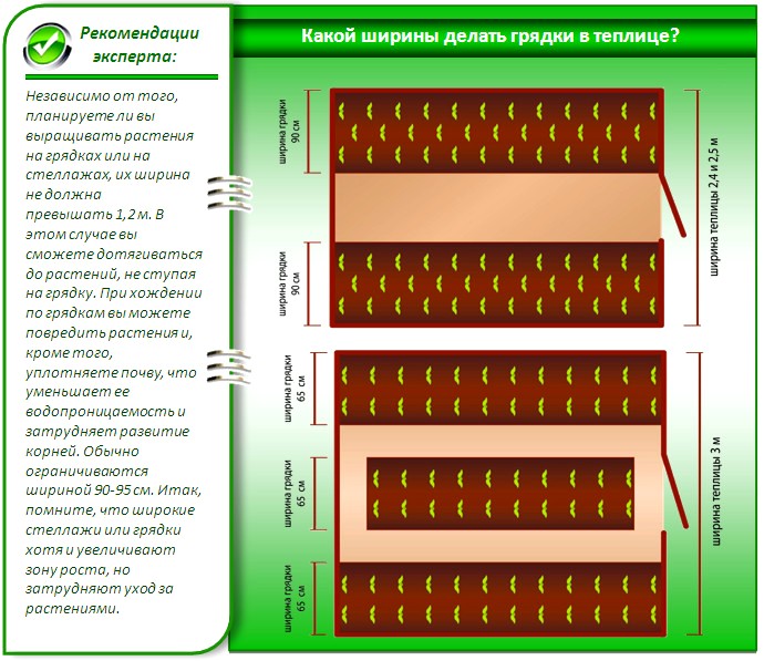 Plano de negócios de estufa