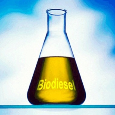 Como fazer biodiesel com suas próprias mãos em casa