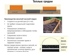 How to prepare soil for a greenhouse