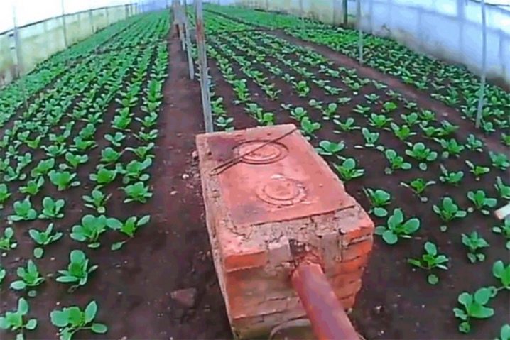 Maneiras de aquecimento de estufa para aquecer uma estufa no inverno e no início da primavera