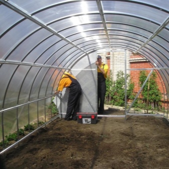 How to prepare soil for a greenhouse