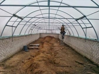 How to prepare soil for a greenhouse