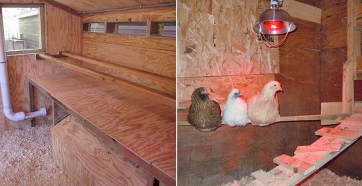 Heating a chicken coop in winter heating methods and suitable types of heating